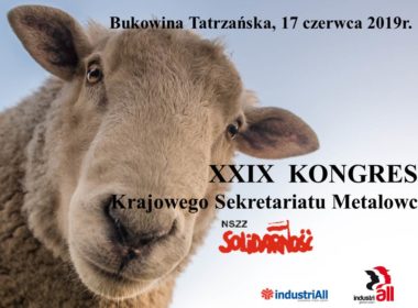 obraz dla wpisu: Obradował XXIX Kongres Sekretariatu Metalowców