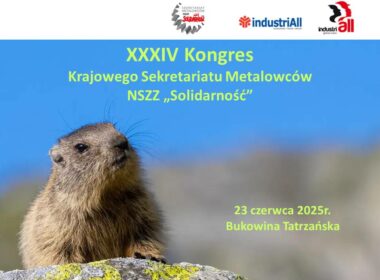 obraz dla wpisu: XXXIV Kongres Sekretariatu Metalowców